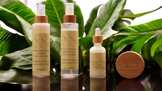 The Transparent Collection Travel Kit